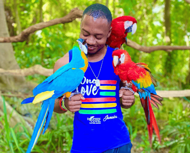 Man Interacting With Colorful Parrots In Forest
